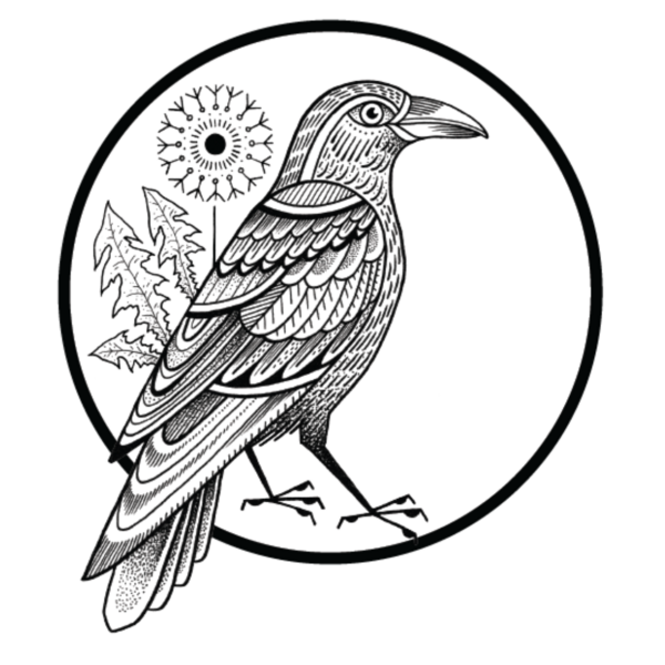 Raven Acupuncture